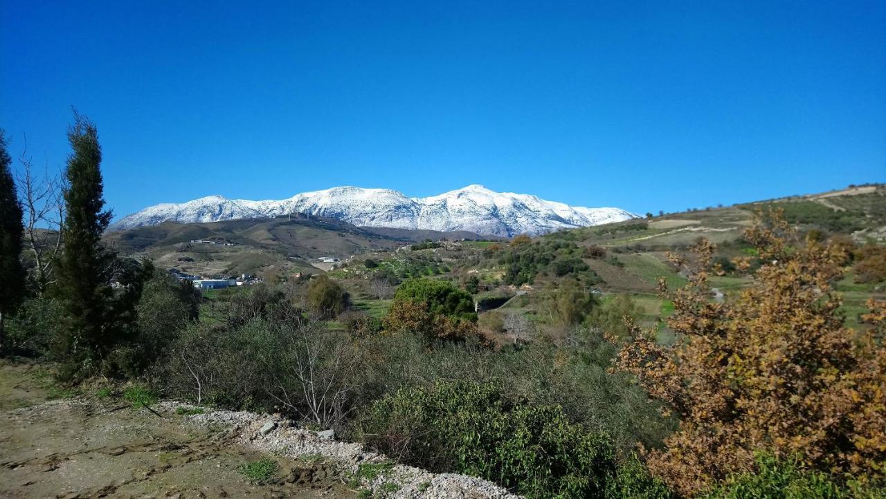 Villa Axenti Agios Thomas  Eksteriør billede