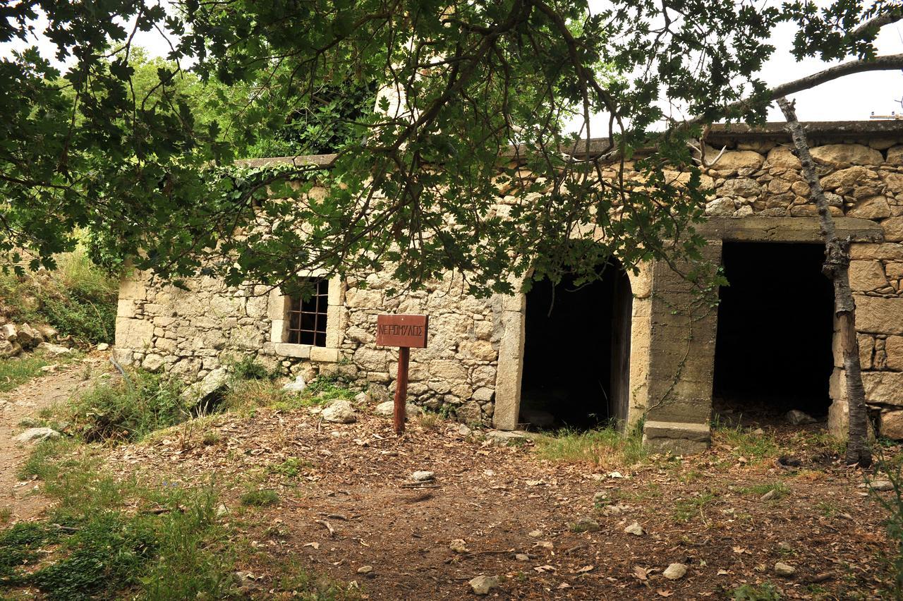 Villa Axenti Agios Thomas  Eksteriør billede