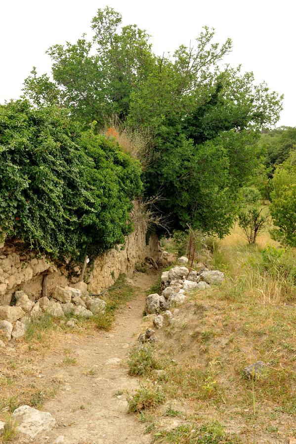 Villa Axenti Agios Thomas  Eksteriør billede